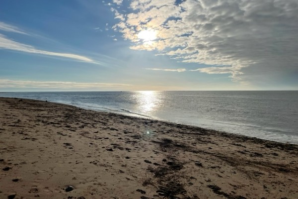 image of coastline